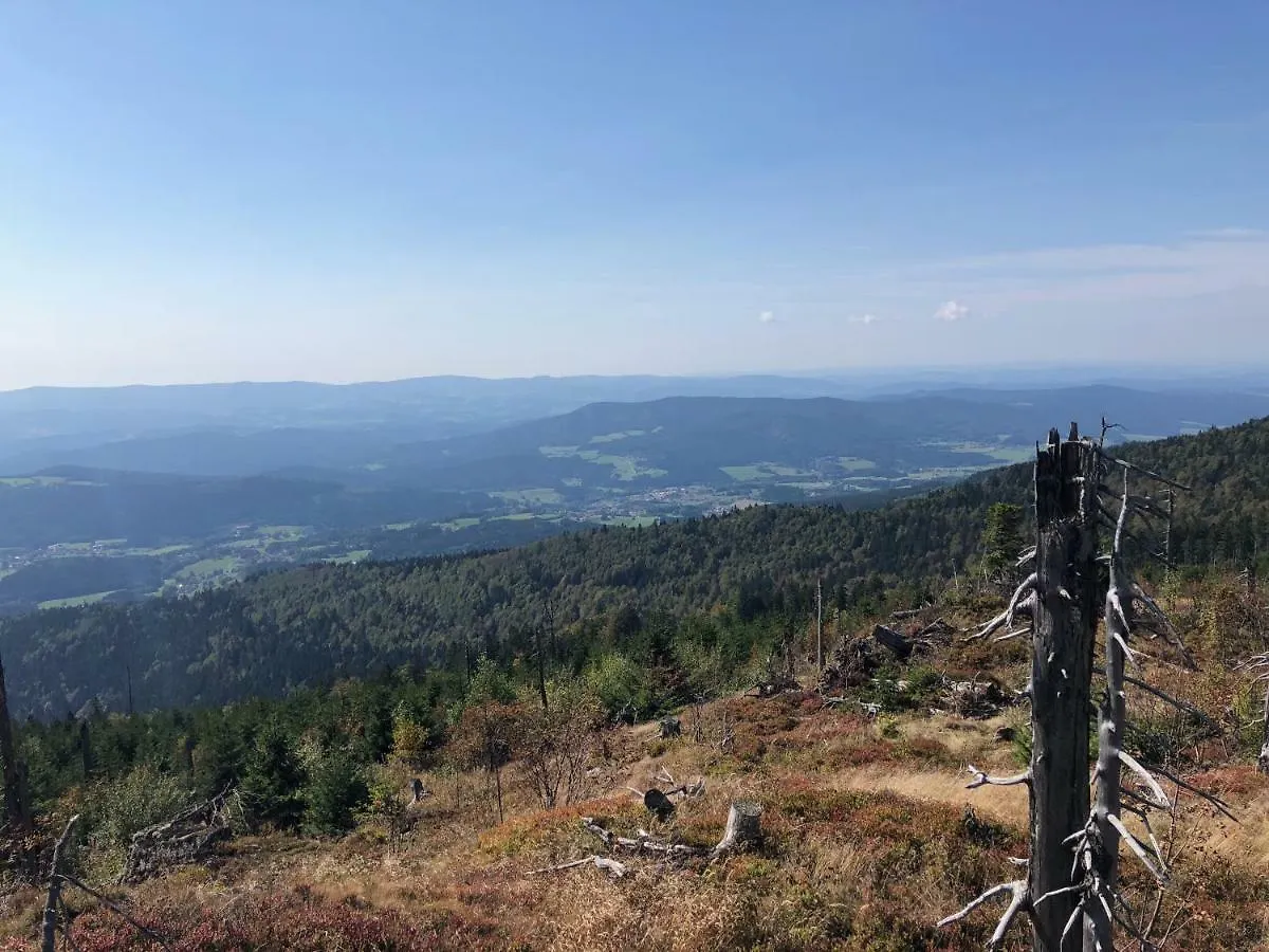 Wellnesshotel Riedlberg Drachselsried Hotel